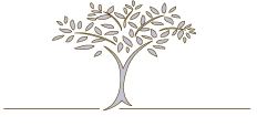 Livewell Chiropractic and Wellness