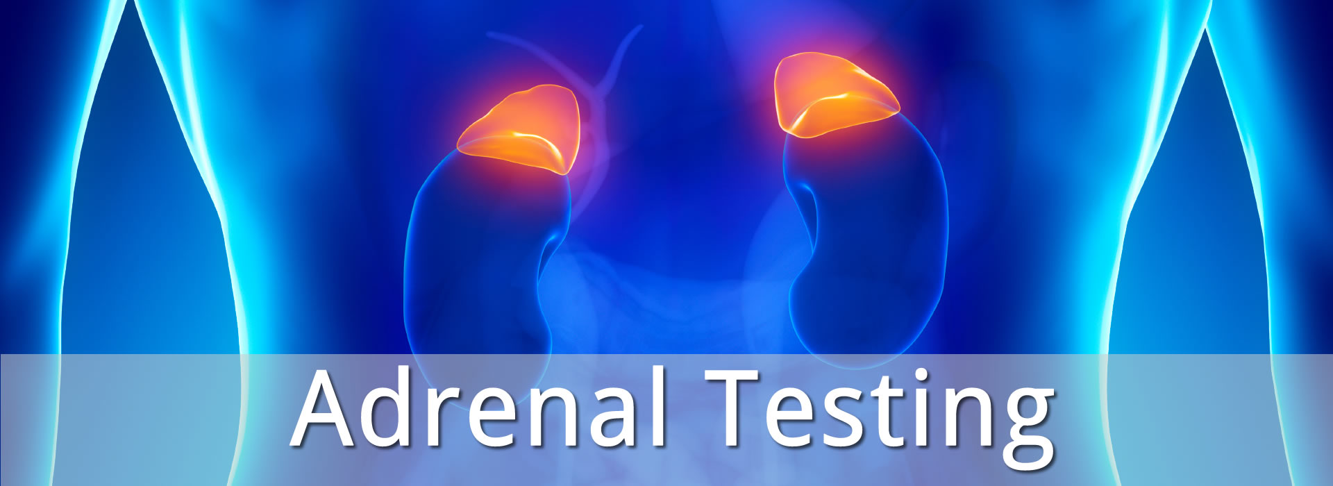 adrenal issues and weight gain